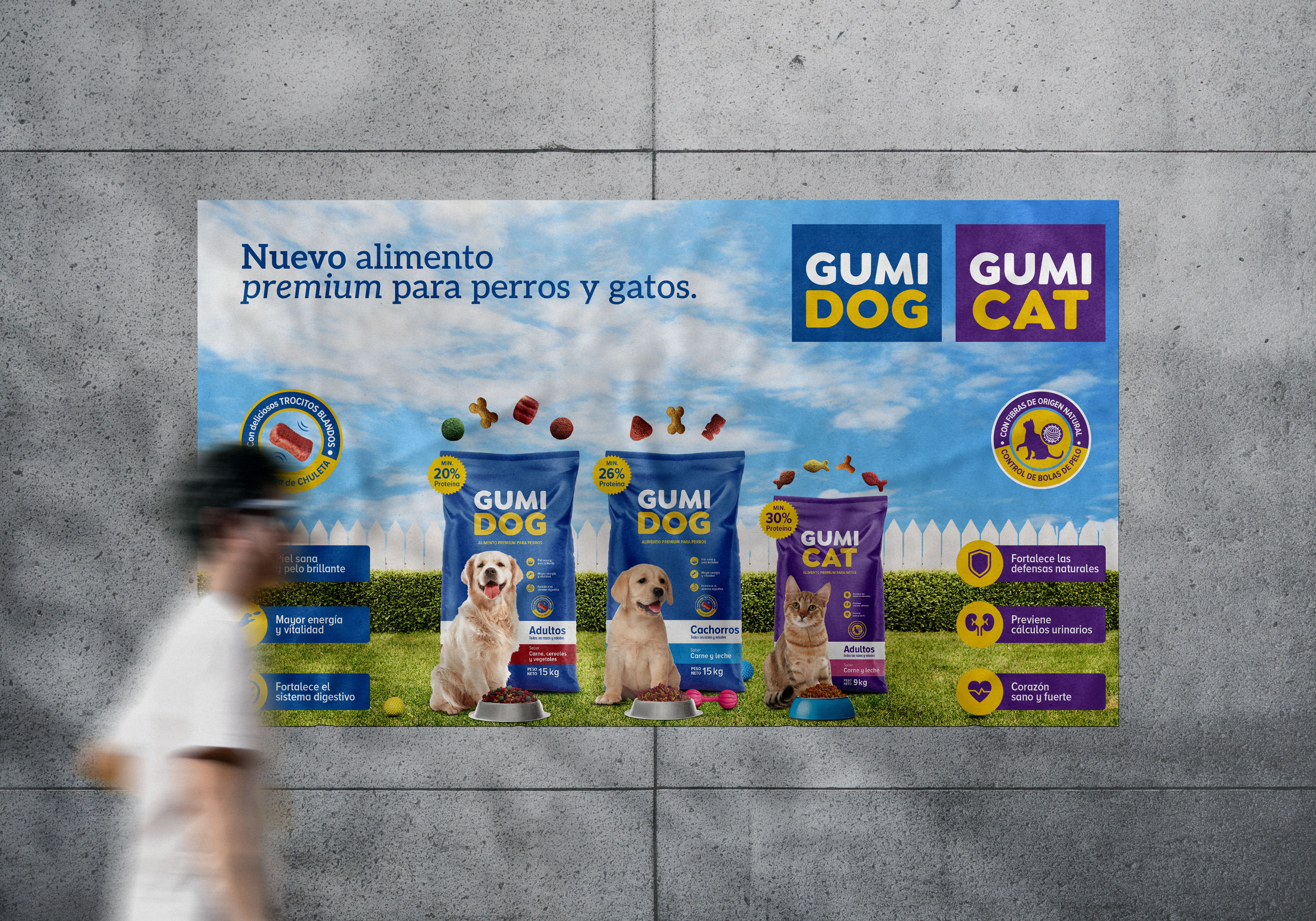 Imagen Intermedia